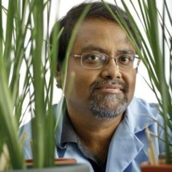 Dr. Dibyendu “Dibs” Sarkar,